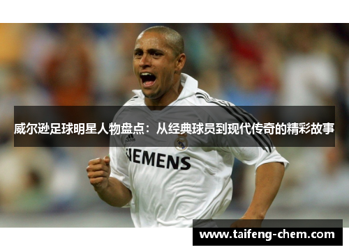 威尔逊足球明星人物盘点：从经典球员到现代传奇的精彩故事