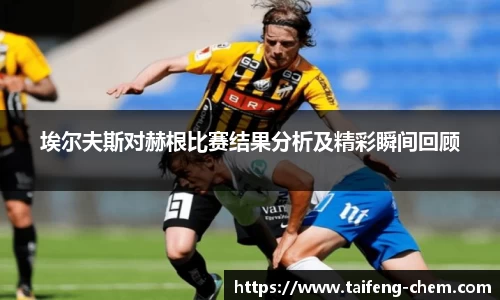 竞技宝埃尔夫斯对赫根比赛结果分析及精彩瞬间回顾